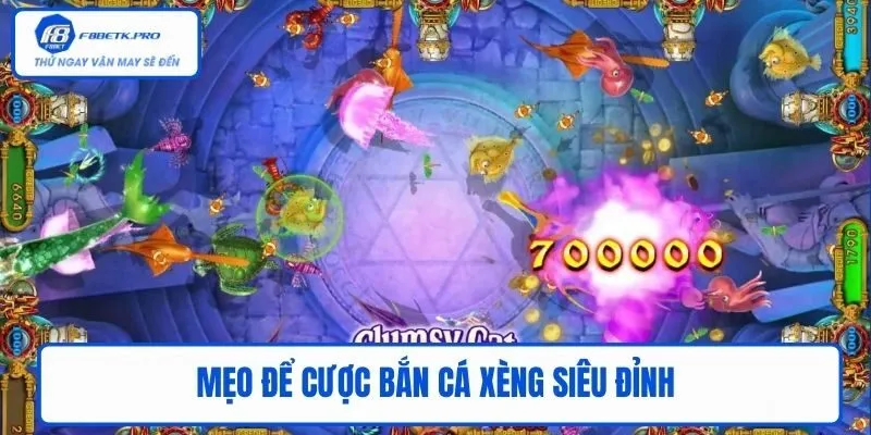 Mẹo để cược Bắn Cá Xèng siêu đỉnh